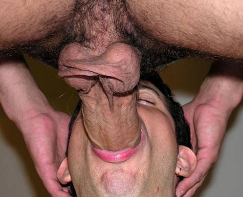 Image #2562